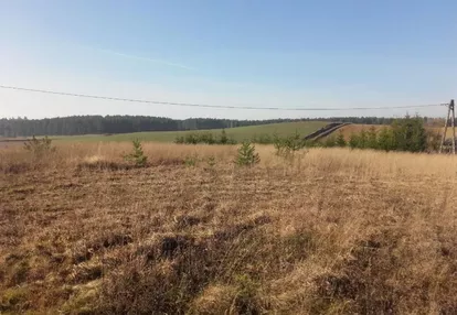 Działka na sprzedaż 3000m2