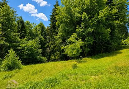 Działka budowlana 1161 m² | milówka