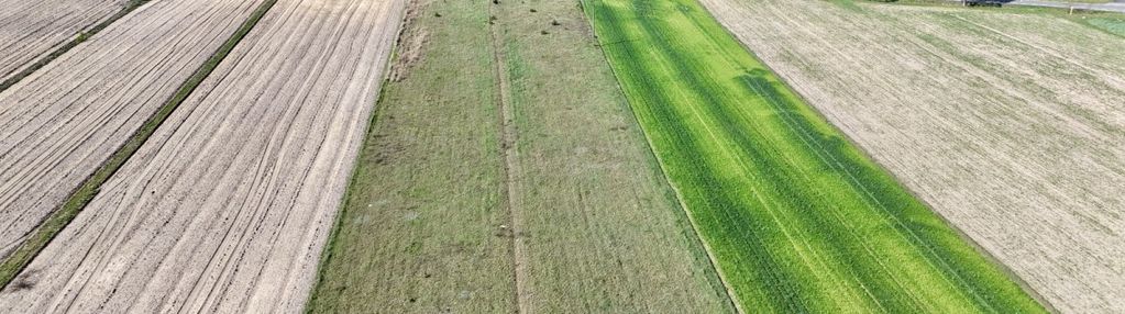 Działka rolna na sprzedaż – nowy głuchówek
