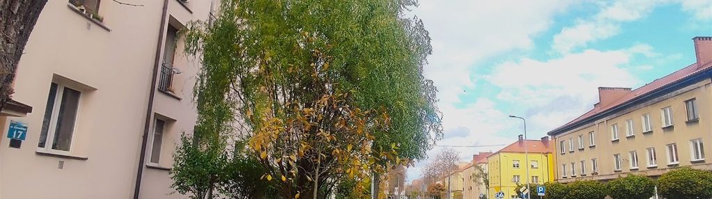 Parter. trzy pokoje. osiedle chemików.