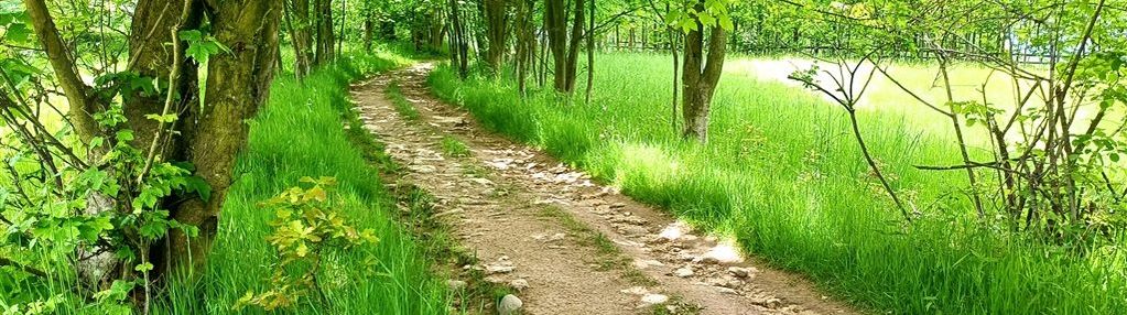 Działka budowlana widok na pasmo karkonoszy