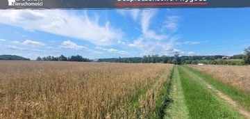 Płaskie działki z malowniczym widokiem! kczewo