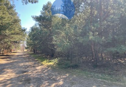 Działki budowlane w lesie niedaleko bugu-arciechów