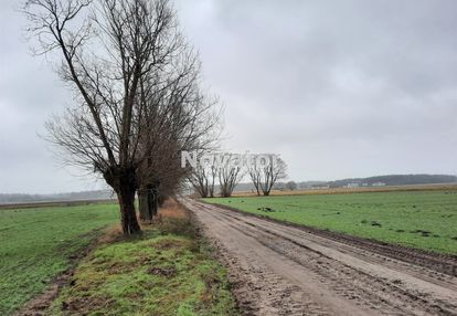 Działka rolna o pow. 6323m2 w łachowie gm.szubin