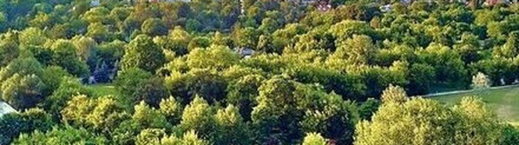 Z﻿amieszkaj tam, gdzie miasto spotyka zieleń.