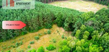 Cegielnik działka 1356m2 ze ścianą lasu
