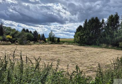 Działka siedliskowa pod zabudowę dla rolnika