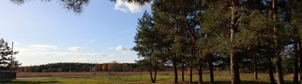 Działka budowlana w otoczeniu zieleni– zmysłówka