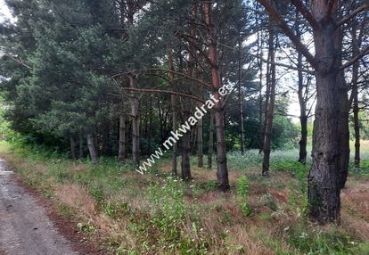 Urocza działka blisko wkd
