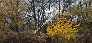 Działka z pozwoleniem na budowę dom 2 lokalowy