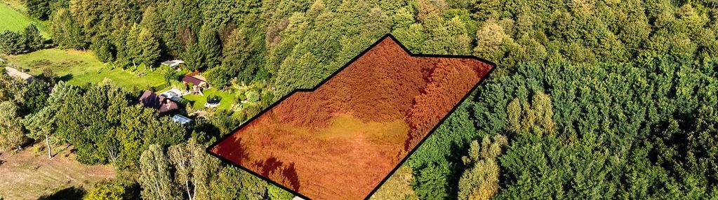 Działka z warunkami zabudowy- przy lesie