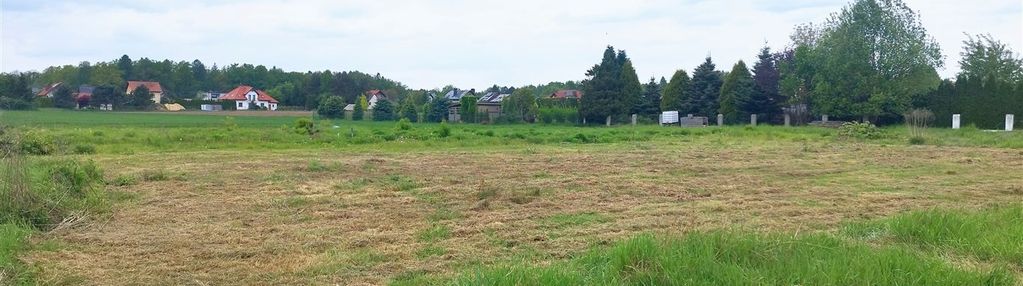 Dwie działki blisko lasu