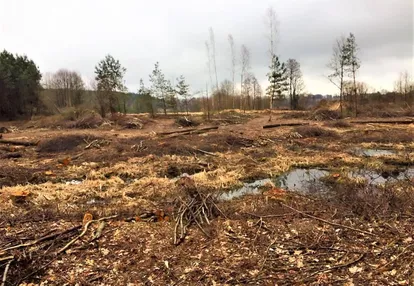 Działka na sprzedaż 3000m2