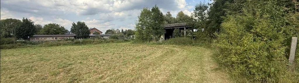 Działka 3000m2, skotniki