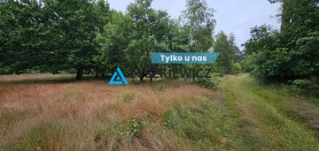 Działka leśna