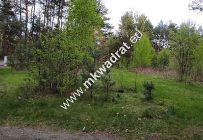 Piękna działka otoczona lasem 2564 m2, czarny las