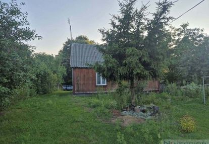 Siedlisko na bugiem