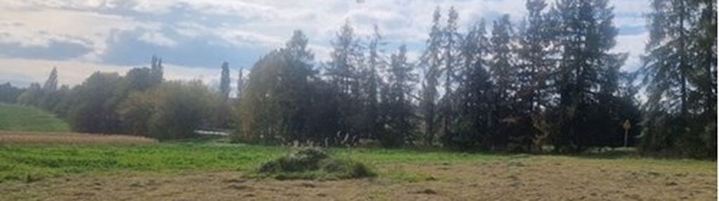 Działka przy głównej drodze.