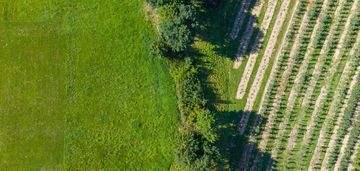 Widokowa działka budowlana 14 arów