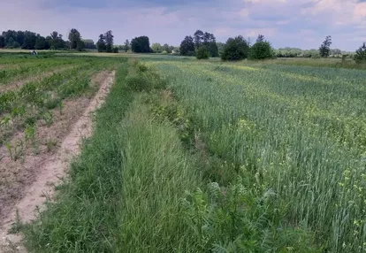 Działka na sprzedaż 7500m2