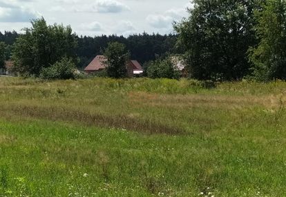 12.554 m2, siedliskowa (inwestycyjna)