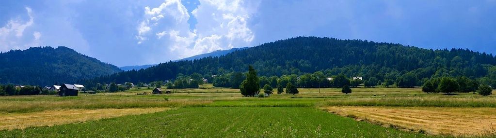Działka budowlana słotwina 1756 m² | widokowa