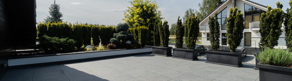 Gwiezdna | libertów | 3 pokoje | widok