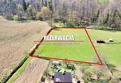 Pół hektara działki rolnej/rekreacyjnej