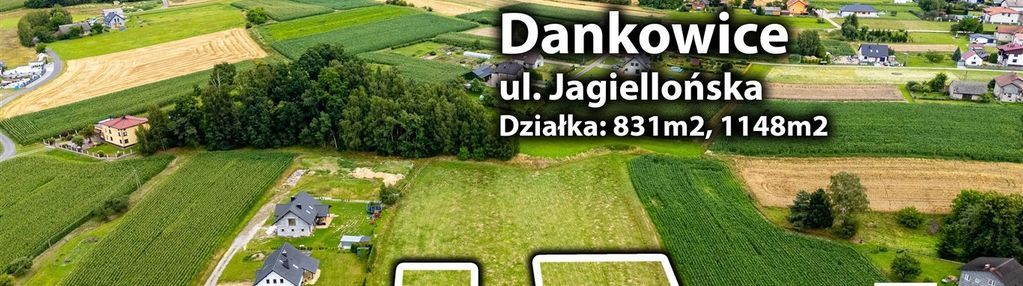 Ponad 8 arów w dankowicach!