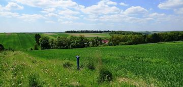 Działka  o pow. 15,8 ar - gm. iwanowice, władysław