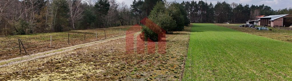Działka na wsi pod rzeszowem czarna sędziszowska