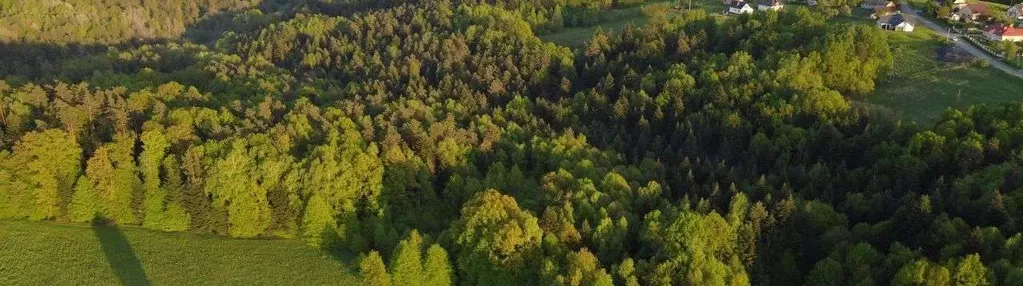 Piękna Działka Budowlana w Głogoczowie z lasem