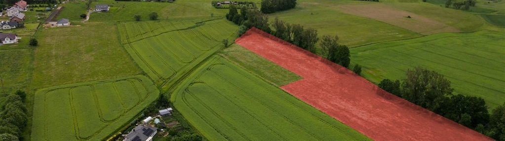 Na sprzedaż działka – 1,6 ha – siedlęcin