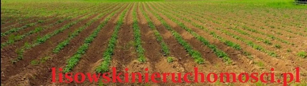 Działka rolna 1,5ha, stary chrząstów