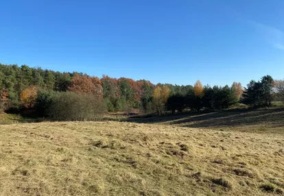 Działka na sprzedaż 7800m2