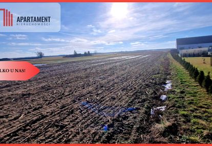 Tylko u nas! ostatnia tak tania działka w sępólnie