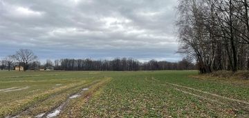 Szczere pole w zabłociu - cisza i spokój