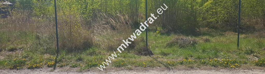 ⭐⭐⭐⭐  super działka z mediami rusiec  ⭐⭐⭐⭐