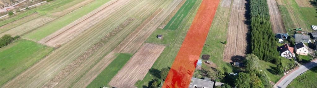 Działka pow. 25240m2, osiny, gm. pierzchnica