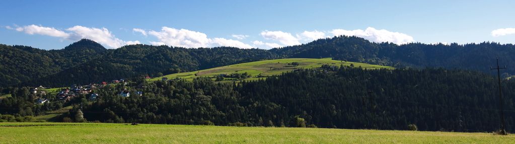 Działka w grywałdzie; 1,1003 ha; warunki zabudowy