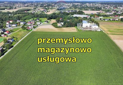 Produkcyjno - magazynowo - usługowa