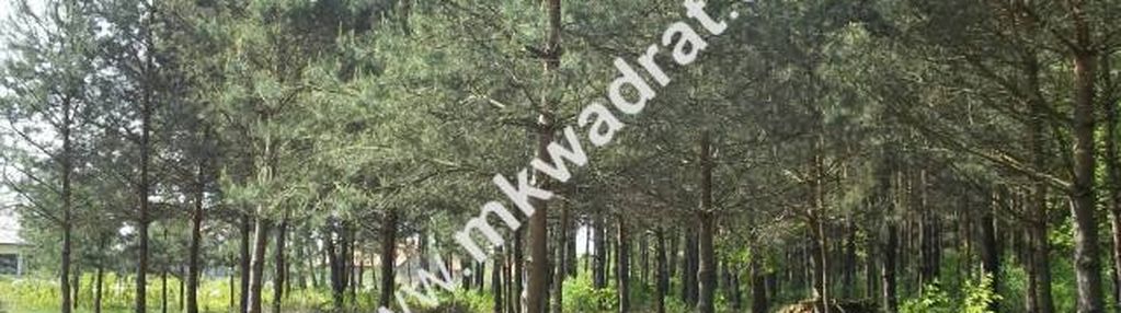 Działka w otulinie lasu z pozwoleniem na budowę