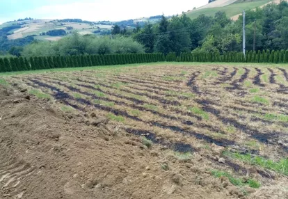 Działka na sprzedaż 4000m2