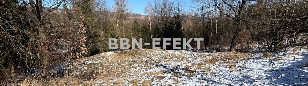 Świnna-powiat żywiecki