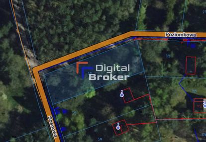 Chorzeszów*działka*letniskowa*łask