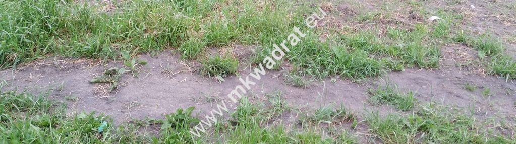 Chrzanów mały 1500m2
