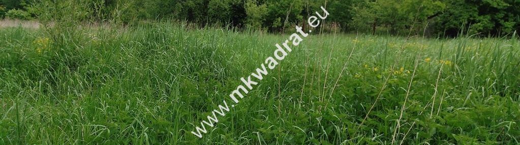 Wólka działka budowlana z mpzp