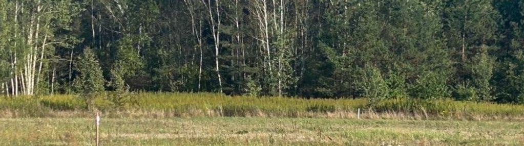 Działka pod dom wolnostojący lub mały bliżniak
