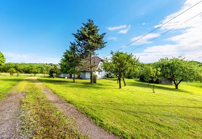 Klimatyczne siedlisko (1,77 ha) bieńkowice