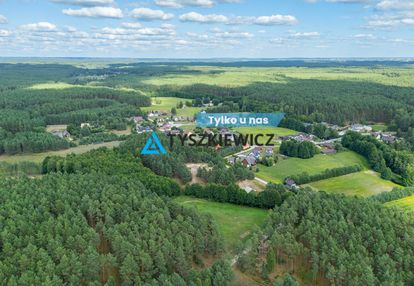 Leśny azyl w zaborskim parku krajobrazowym